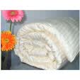 SOFTLINE��˿�޲�˿˫���ﶬ��200*230��ɫ
