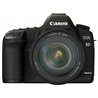 ���ܣ�Canon��EOS 5D Mark II (EF 24-105mm f/4L IS USM)  �����׻�