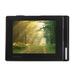 ��ŷ�ϣ�IAUDIO�� D2+  4G  MP3����������ɫ��