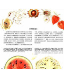插图一