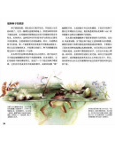 插图一