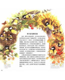 插图一