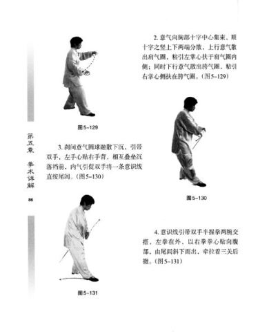 杨氏太极拳:三十七式内功述真(修订版)