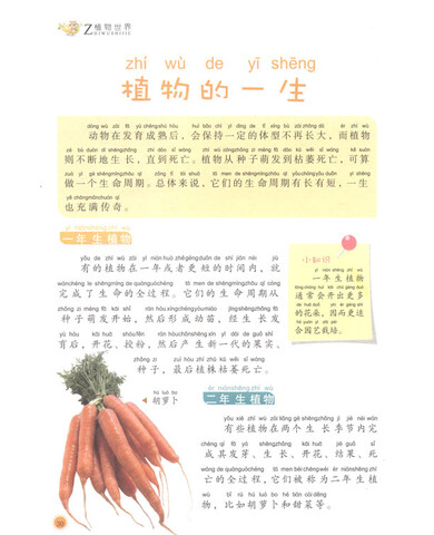 我的第一套百科全书:植物世界\/青少科普编委会