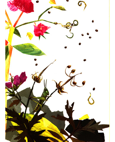 种子的旅行+世界上最的