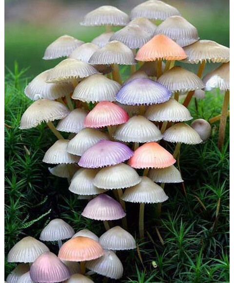 边玩边赚钱:36种潮流达人职业 张彦之 中国画报