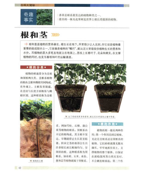 百科大揭秘:植物世界大百科