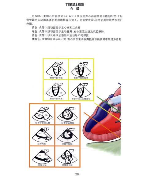 实时三维经食管超声心动图手册