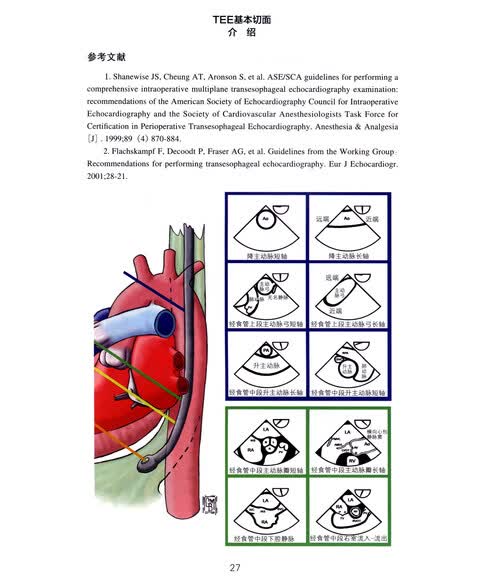 实时三维经食管超声心动图手册