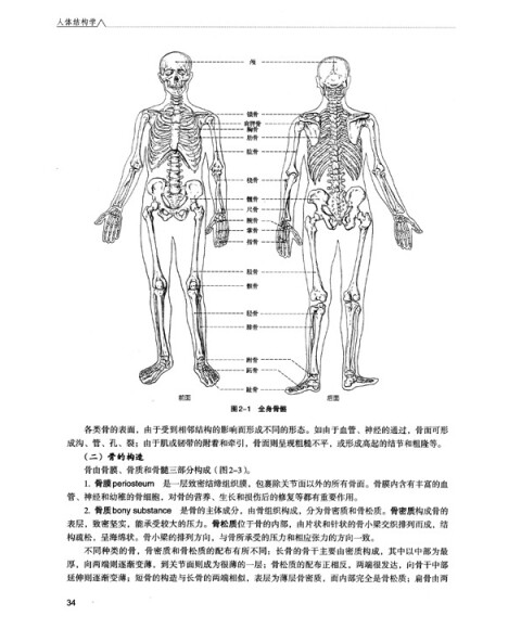 全国高等学校"十二五"医学规划教材:人体结构学