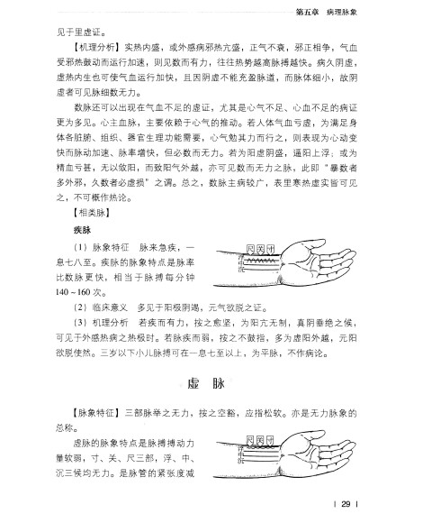 图解中医:最新图解脉诊入门