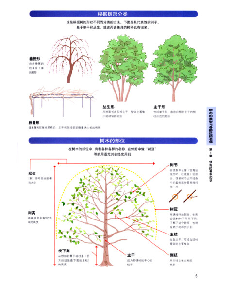 图解庭院树木修剪