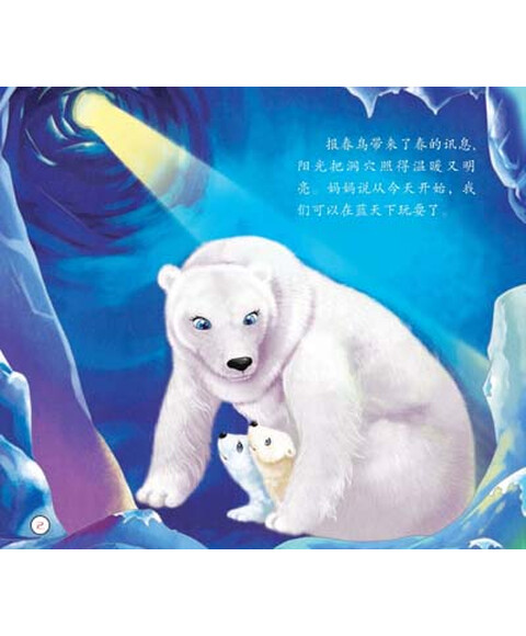 兔子宠物:北极熊企鹅日记晋江哪里有卖海豚动物图片