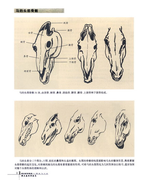跟名家学国画技·法与小品:跟王春雨学画马