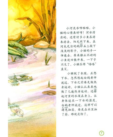 目录 小猫落水啦 打雷闪电咔嚓嚓 "蜘蛛侠"大黑熊 汽车地铁大飞机 忙