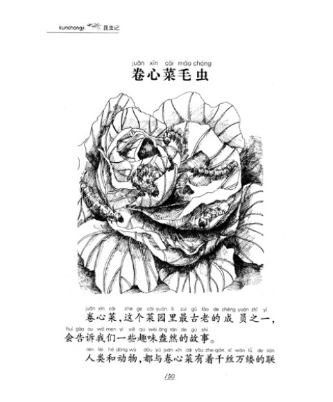 名著早早读:昆虫记(彩色插图注音版)