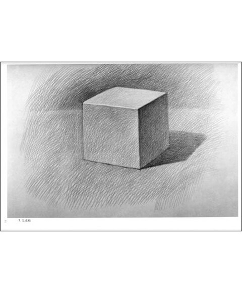 素描基础静物写生图片展示