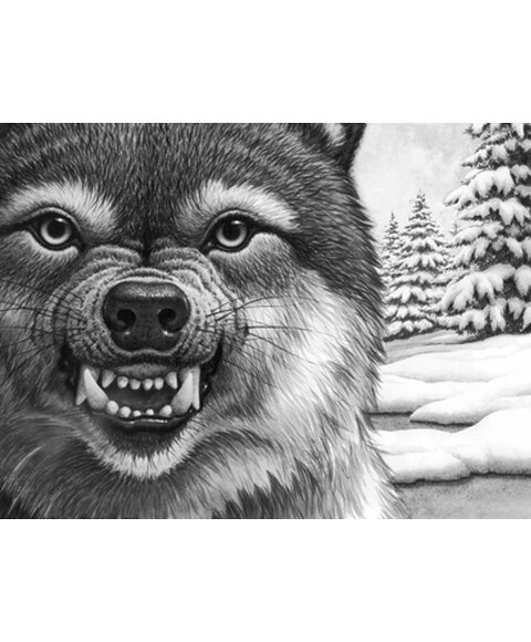 《绝境狼王系列:星梯的召唤(4)》