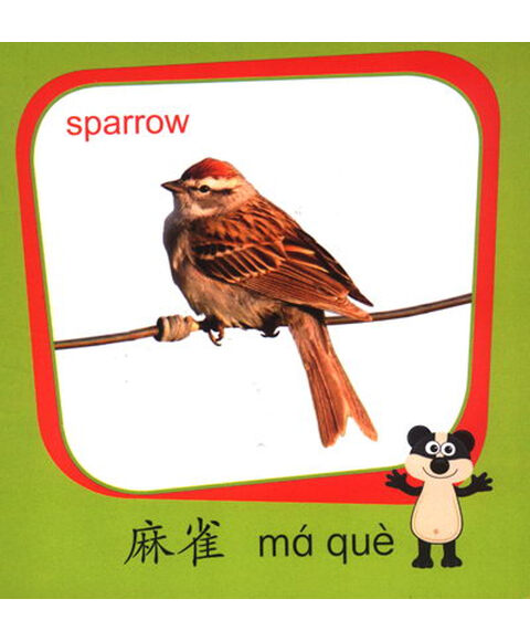 小小羊提米启蒙卡片书:动物王国(下) 《博客族