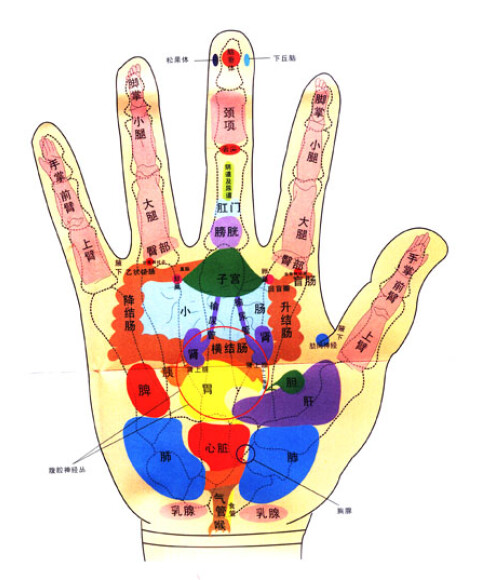 《季氏疗法:手部反射区定位图》(季秦安)【摘要