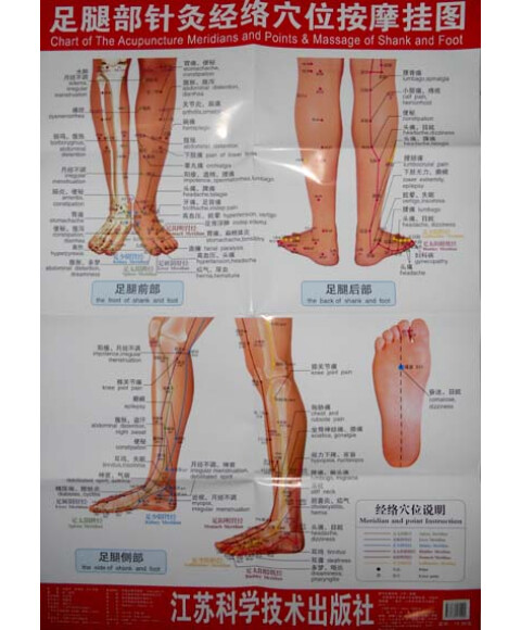 >> 文章内容 >> 按摩腿部经络的好处   大腿内侧肝胆经排毒如何按摩答