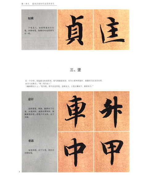 陈建忠真书千字文视频图片_纵览新闻