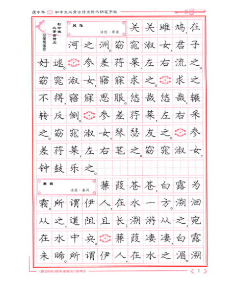 庞中华硬笔书法系列:初中生必背古诗文(楷书)(修订版)图片