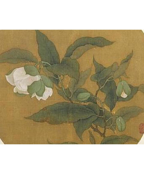 《中国历代绘画珍本:夜合花图》([南宋]佚名)【摘要 书评 试读】