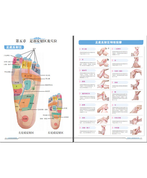 人体反射区高清图册