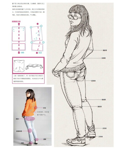 最强速写:速写基础·衣纹与形体