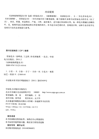 藤本及水生植物-孙光闻藤本蔷薇 藤本莉娜1