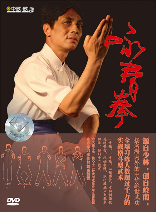 咏春拳(精装dvd)