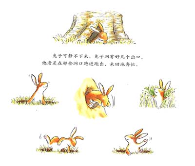 《信谊世界精选图画书:天为啥是蓝的》((英)萨