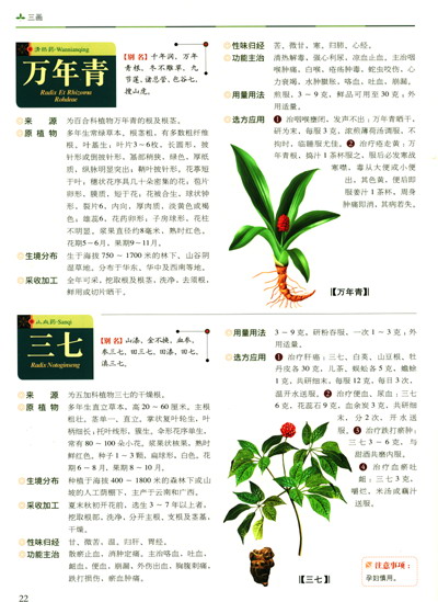 中药石斛pop手绘海报