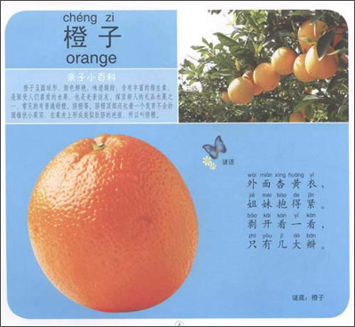 蔬菜》(誉书斋)【摘要