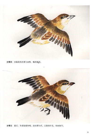 彩墨花鸟画法:雀鸟