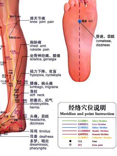 《足腿部针灸经络穴位按摩挂图(中英文版)