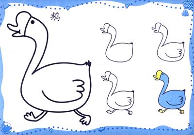 小鸡 小鸭 鹅