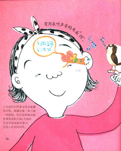 《我们身体里的洞》((韩)许恩美)