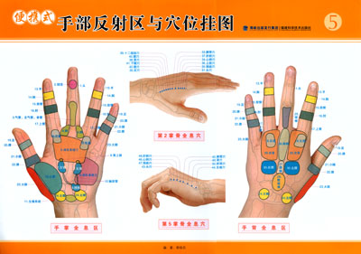 包含了左右手掌正面,左右手背正面反射区及右手掌和右手背经络穴位