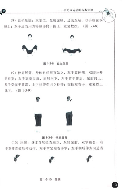 《图解羽毛球技巧》(周志辉)