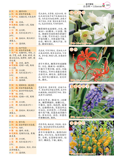 经典观赏花卉图鉴