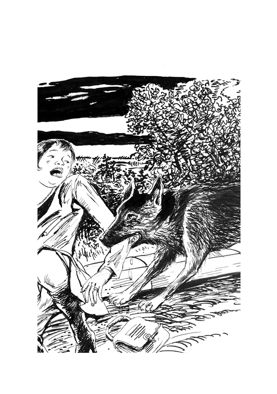 《动物小说大王·沈石溪系列典藏:警犬拉拉》