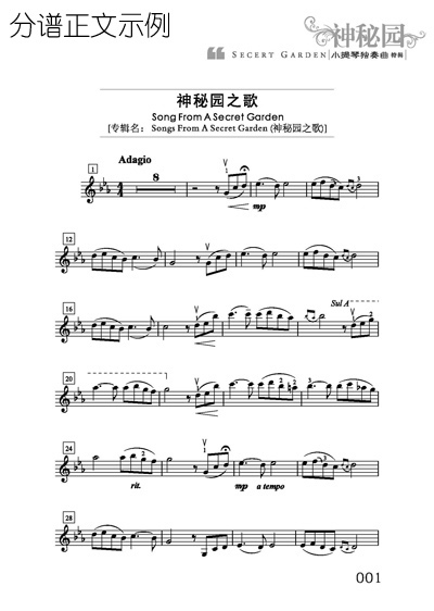 secret钢琴曲谱子