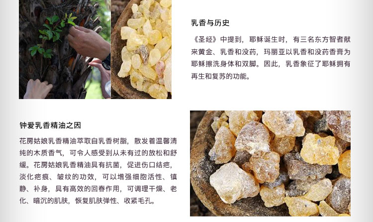 花房<em>姑娘 乳香</em>单方精油10ml 改善老化肌肤 护肤