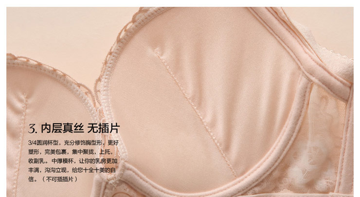 <em>金三塔</em> 2013新品100%<em>桑蚕丝</em>聚拢<em>文胸</em> 提托胸