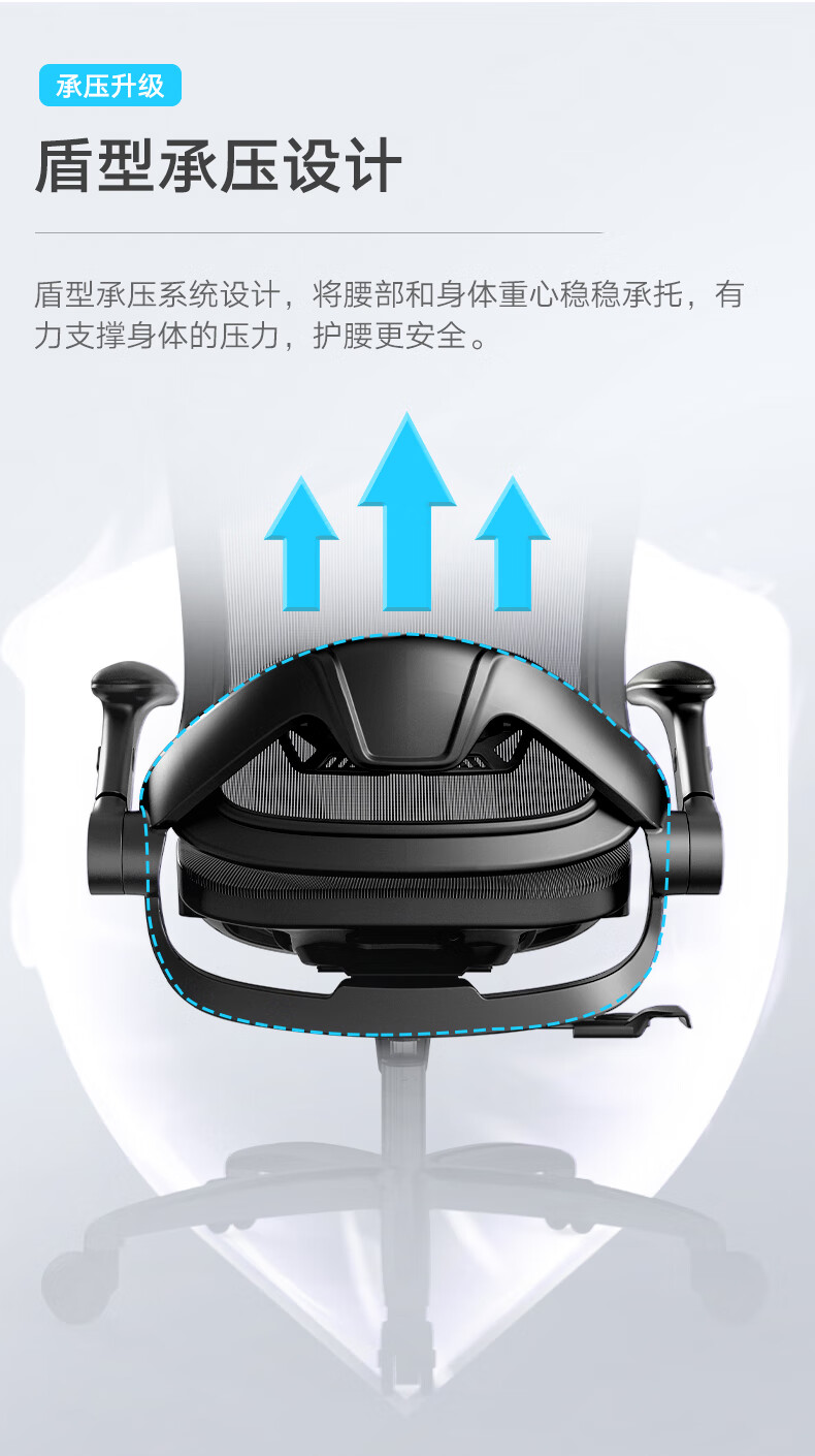 黑白调（Hbada）电脑椅人体工学椅家用工程学椅子靠背办公椅舒适久坐老板椅 HDNY167- 庇佑