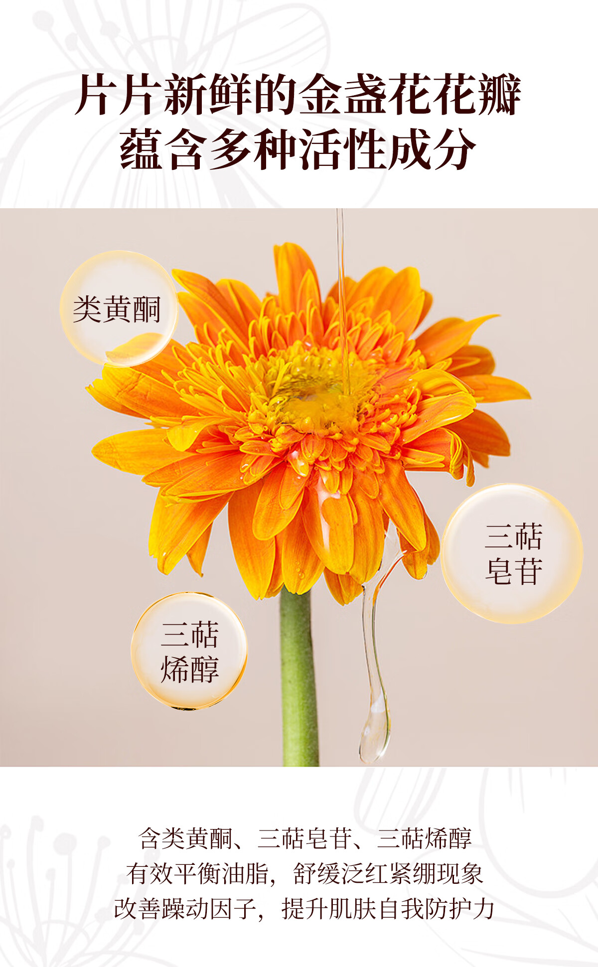奇姬金盏花沁舒爽肤水 舒缓肌肤补水保湿清爽控油维稳肌肤屏障润肤水 150ml