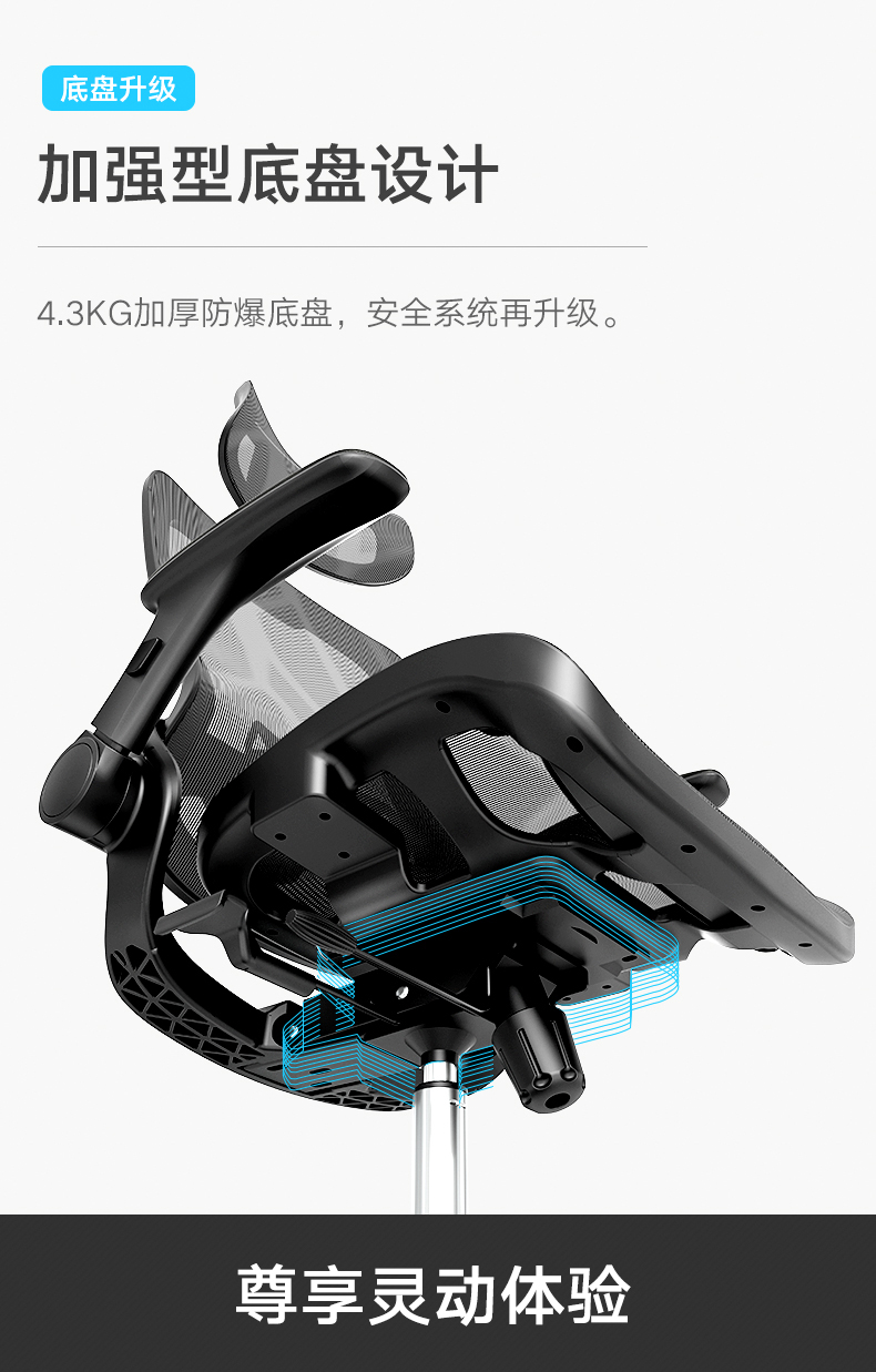 黑白调（Hbada）电脑椅人体工学椅家用工程学椅子靠背办公椅舒适久坐老板椅 HDNY167- 庇佑