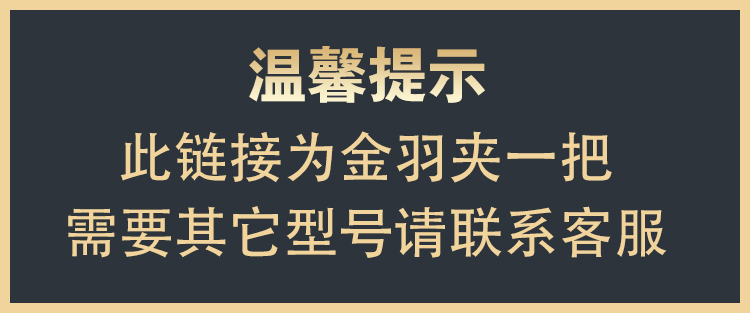 TSEYE 自己接假睫毛镊子自粘单簇高精密金羽夹子美睫师店化妆师专用粘贴自嫁接睫毛镊子贴弯头 金羽夹（一把）